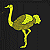 Ostrich Where To